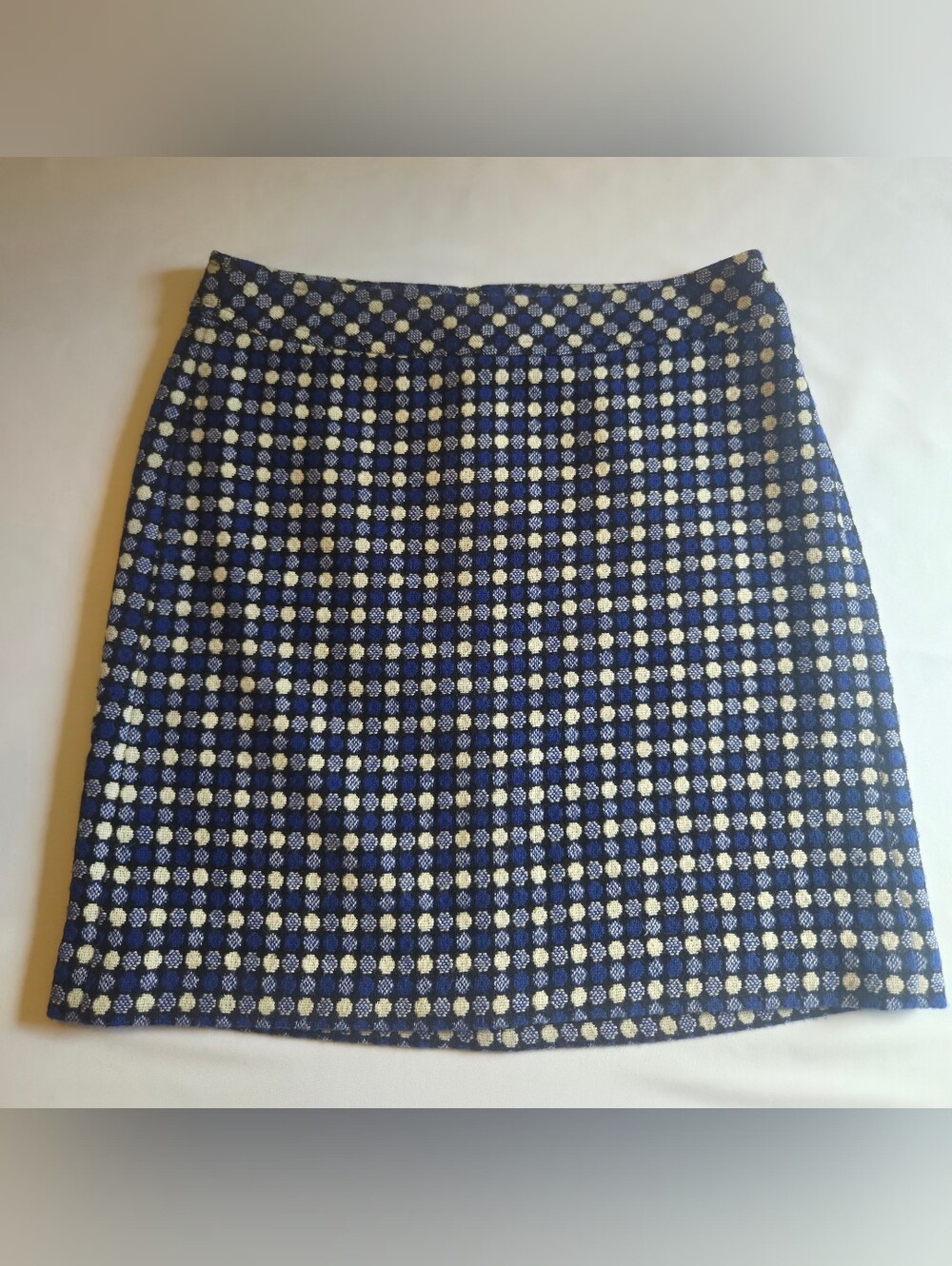 Talbots Size 10 Blue White Textured Polka Dot A-Line Skirt